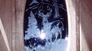 Sandblasted and Etched Glass 03