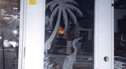Sandblasted and Etched Glass 10